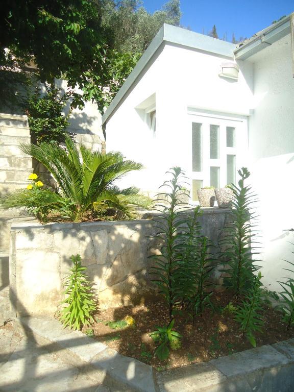 Apartments Villa Petranovic Budva Oda fotoğraf